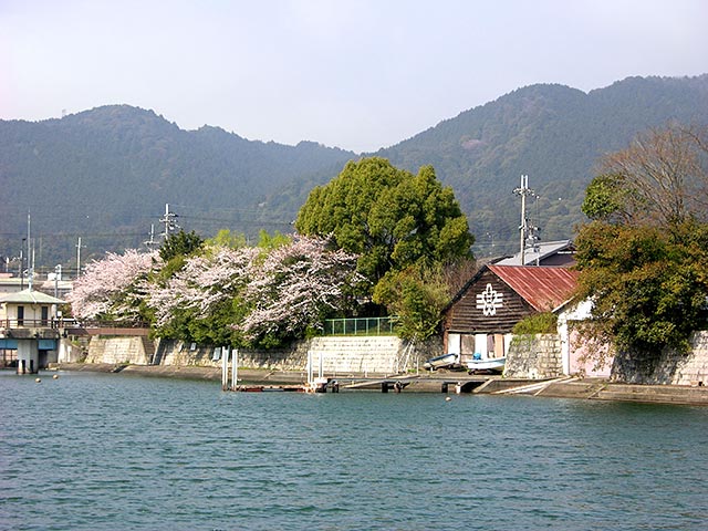 琵琶湖疏水周辺