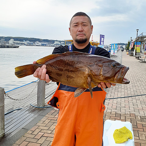 ハタ（アコウ）1位
