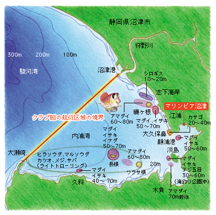 内浦湾周辺のフィールドマップ