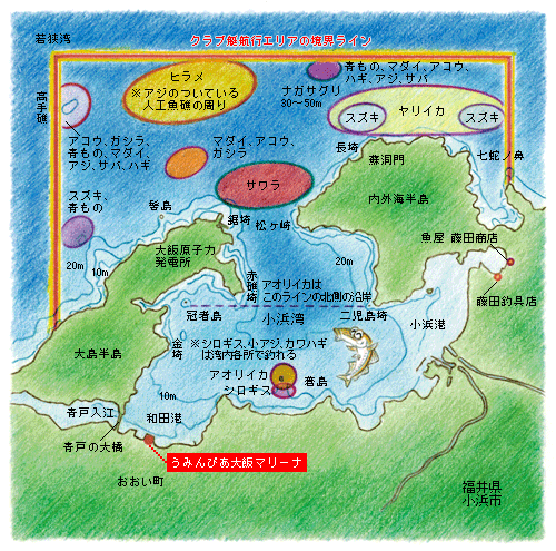 小浜湾周辺のフィールドマップ
