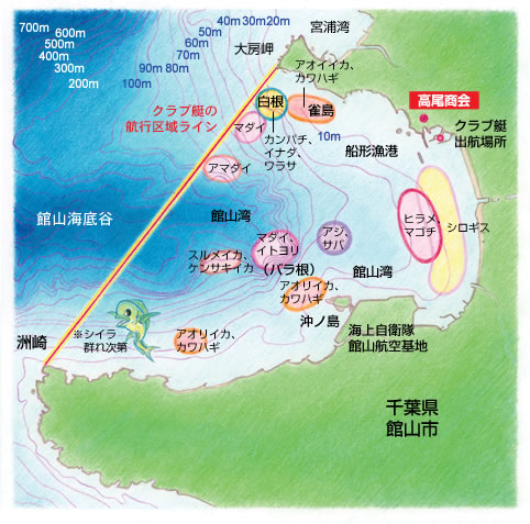館山湾のフィールドマップ