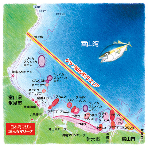 富山湾のフィールドマップ
