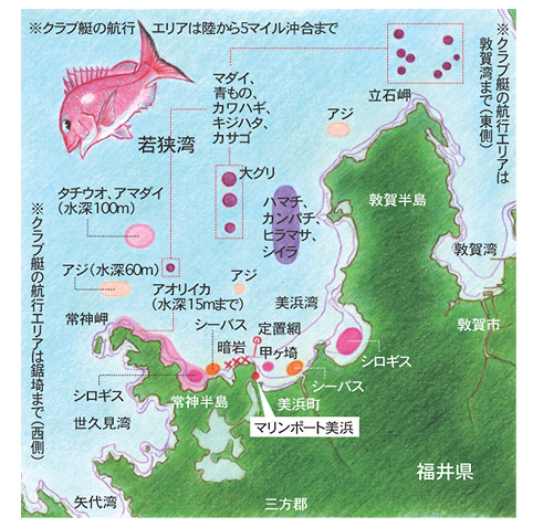 美浜沖のフィールドマップ