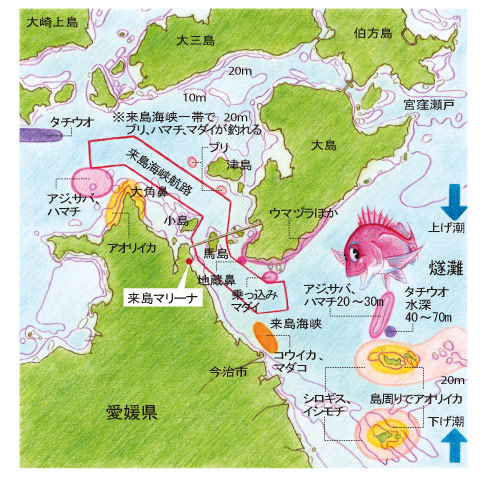 来島海峡のフィールドマップ