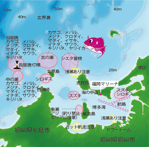 福岡のフィールドマップ