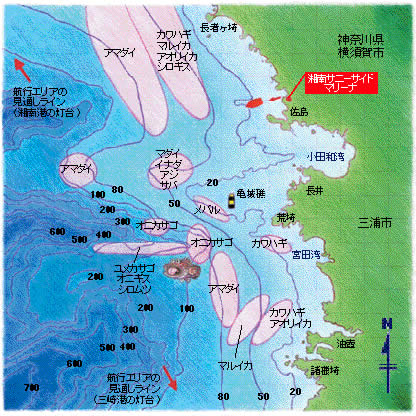 相模湾東部のフィールドマップ