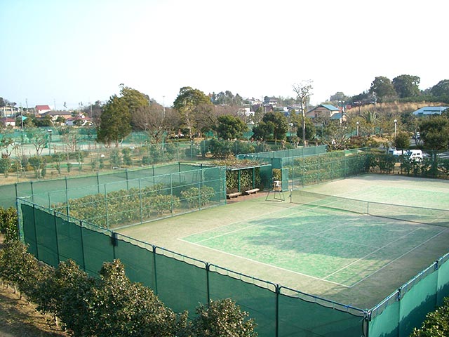 テニスコート（オムニ人工芝12面、ハード2面※内ナイターコート4面）