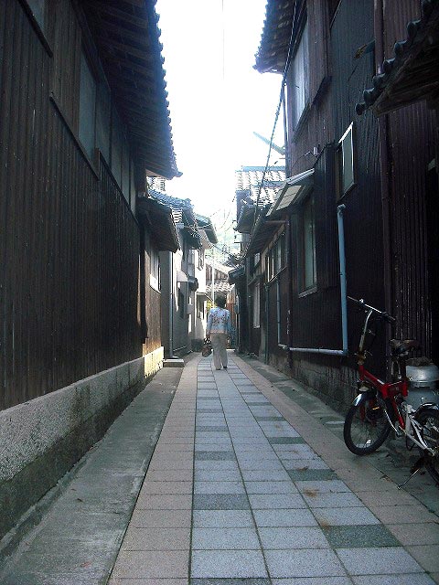 島の散策