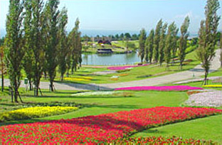 淡路島国営明石海峡公園