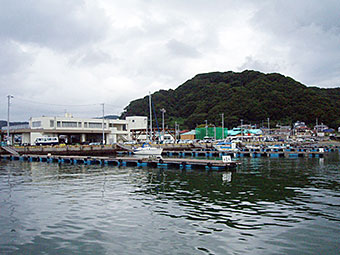 保田漁港