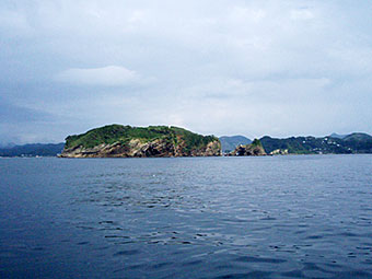 浮島沖をクルージング