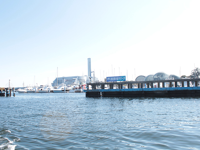 東京夢の島マリーナ内にあるレストランでランチ休憩はいかがですか？※事前に係留予約が必要です。